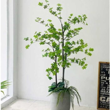 [Combo-mix] Cây Thạch Nam Nhật Bản Giả Trang Trí Cửa Hàng, Studio, Tiệm Quán, Văn Phòng, Nhà Cửa – 1m8 – PN-CG092