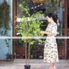 Cây Thạch Nam Nhật Bản Giả 1m8 (3)