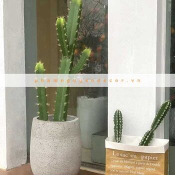 Cây Xương Rồng Ống Sa Mạc Giả Trang Trí Cửa Hàng, Studio, Tiệm Quán, Văn Phòng, Nhà Cửa – 1m – PN-CG051
