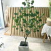 Cây bạch đàn giả trang trí cửa hàng, studio, shop, văn phòng, nhà cửa