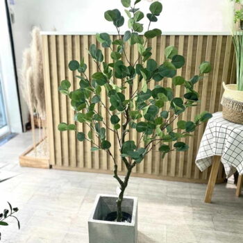 Cây Bạch Đàn Giả Trang Trí Cửa Hàng, Studio, Tiệm Quán, Văn Phòng, Nhà Cửa – Cao 1m3 – Mã: PN-CG009