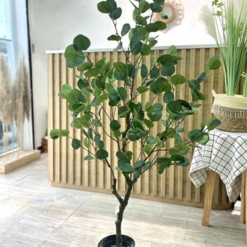 Cây Bạch Đàn Giả Trang Trí Cửa Hàng, Studio, Tiệm Quán, Văn Phòng, Nhà Cửa – Cao 1m3 – Mã: PN-CG009