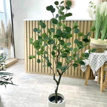 Cây Bạch Đàn Giả Trang Trí Cửa Hàng, Studio, Tiệm Quán, Văn Phòng, Nhà Cửa – Cao 1m3 – Mã: PN-CG009