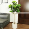 Cây bàng Singapor giả 1m5 trang trí nội ngoại thất - Phạm Nguyễn Decor