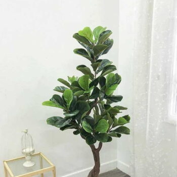 Cây Bàng Singapore Giả Trang Trí Cửa Hàng, Studio, Tiệm Quán, Văn Phòng, Nhà Cửa – Cao 1m5– Mã: PN-CG055