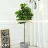 Cây bàng Singapore giả 1m8 Trang trí nội ngoại thất - Phạm Nguyễn Decor (6)