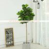Cây bàng Singapore giả 1m8 Trang trí nội ngoại thất - Phạm Nguyễn Decor (6)