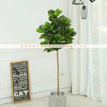 Cây Bàng Singapore Giả Trang Trí Cửa Hàng, Studio, Tiệm Quán, Văn Phòng, Nhà Cửa – Cao 1m8 – Mã: PN-CG026