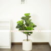 Cây bàng Singapore giả 90cm - Trang trí nội và ngoại thất - Phạm Nguyễn Decor