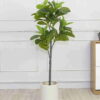 Cây bàng singapore giả 1m4 trang trí nội ngoại thất - Phạm Nguyễn Decor