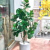 Cây bàng singapore giả 1m5 trang trí nhà cửa văn, văn phòng, shop, studio, nhà hàng khách sạn