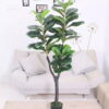 Cây bàng singapore giả 1m5 trang trí nội ngoại thất - Phạm Nguyễn Decor