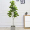 Cây bàng singapore giả 1m8 trang trí nội ngoại thất - Phạm Nguyễn Decor