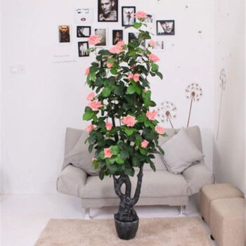Cây Hoa Hồng Giả Trang Trí Cửa Hàng, Studio, Tiệm Quán, Văn Phòng, Nhà Cửa – Cao 1m65 – Mã: PN-CG003