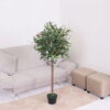 Cây Ô Liu Giả 1m2 - Trang Trí Nội Ngoại Thất - Phạm Nguyễn Decor