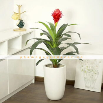 Cây Phát Lộc Hoa Giả Trang Trí Cửa Hàng, Studio, Tiệm Quán, Văn Phòng, Nhà Cửa – Cao 90cm – Mã: PN-CG019