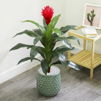 Cây Phát Lộc Hoa Giả Trang Trí Cửa Hàng, Studio, Tiệm Quán, Văn Phòng, Nhà Cửa – Cao 90cm – Mã: PN-CG019