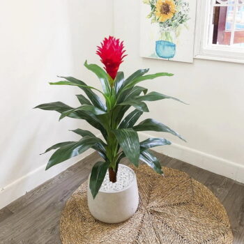 Cây Phát Lộc Hoa Giả Trang Trí Cửa Hàng, Studio, Tiệm Quán, Văn Phòng, Nhà Cửa – Cao 90cm – Mã: PN-CG019