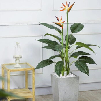 Cây Thiên Điểu Giả Trang Trí Cửa Hàng, Studio, Tiệm Quán, Văn Phòng, Nhà Cửa – Cao 1m – Mã: PN-CG007