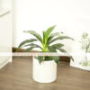 Cây thiết mộc lan giả 40cm