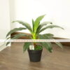 Cây thiết mộc lan giả 40cm