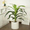 Cây thiết mộc lan giả 90cm trang trí nhà cửa, cửa hàng, studio, văn phòng (10)