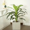 Cây thiết mộc lan giả 90cm trang trí nhà cửa, cửa hàng, studio, văn phòng