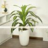 Cây thiết mộc lan giả 90cm trang trí nhà cửa, studio, văn phòng, cửa hàng