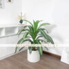 Cây thiết mộc lan giả 90cm trang trí nhà cửa, studio, văn phòng, cửa hàng