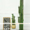Cây xương rồng giả 1m85 trang trí nội ngoại thất