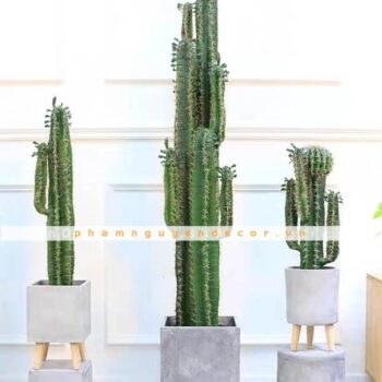 Cây Xương Rồng Giả Lớn – Trang Trí Cửa Hàng, Studio, Tiệm Quán, Văn Phòng, Nhà Cửa – Cao 1m85 – Mã: PN-CG015