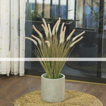 [Combo – mix] Chậu Cỏ Đuôi Chồn Giả Trang Trí Cửa Hàng, Studio, Tiệm Quán, Văn Phòng, Nhà Cửa – Cao 80cm– Mã: PN-CG080