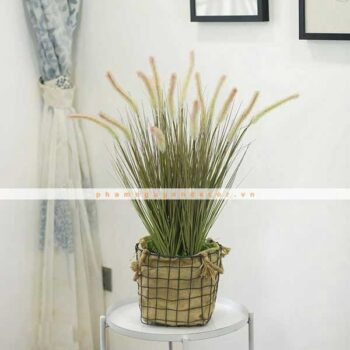 [Combo – mix] Chậu Cỏ Đuôi Chồn Giả Trang Trí Cửa Hàng, Studio, Tiệm Quán, Văn Phòng, Nhà Cửa – Cao 80cm– Mã: PN-CG080