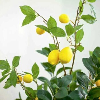 Cây Chanh Mỹ Giả Trang Trí Cửa Hàng, Studio, Tiệm Quán, Văn Phòng, Nhà Cửa – Cao 1m3 – Mã: PN-CG123