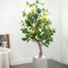 Cây Chanh Mỹ Giả 1m6-Trang Trí Nội Ngoại Thất-Phạm Nguyễn Decor