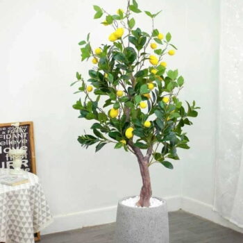 Cây Chanh Mỹ Giả Trang Trí Cửa Hàng, Studio, Tiệm Quán, Văn Phòng, Nhà Cửa – Cao 1m6 – Mã: PN-CG124