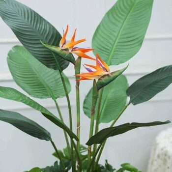 Cây Chuối Thiên Điểu Giả Trang Trí Cửa Hàng, Studio, Tiệm Quán, Văn Phòng, Nhà Cửa – Cao 1m15 – Mã: PN-CG118