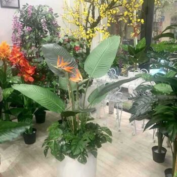 Cây Chuối Thiên Điểu Giả Trang Trí Cửa Hàng, Studio, Tiệm Quán, Văn Phòng, Nhà Cửa – Cao 1m15 – Mã: PN-CG118