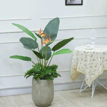 Cây Chuối Thiên Điểu Giả Trang Trí Cửa Hàng, Studio, Tiệm Quán, Văn Phòng, Nhà Cửa – Cao 1m15 – Mã: PN-CG118