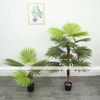 Cây Cọ Giả Trang Trí Cửa Hàng, Studio, Tiệm Quán, Văn Phòng, Nhà Cửa – Cao 1m2 – Mã: PN-CG125