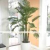 Cây Dừa Giả 1m65 -Trang Trí Nội Ngoại Thất-Phạm Nguyễn Decor