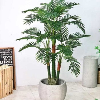 Cây Dừa Giả Trang Trí Cửa Hàng, Studio, Tiệm Quán, Văn Phòng, Nhà Cửa – Cao 1m65– Mã: PN-CG126