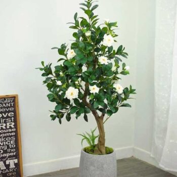 Cây Hoa Trà  Trắng Giả Trang Trí Cửa Hàng, Studio, Tiệm Quán, Văn Phòng, Nhà Cửa – Cao 1m60 – Mã: PN-CG116