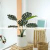 Cây Monstera Giả 85cm-Trang Trí Nội Ngoại Thất-Phạm Nguyễn Decor