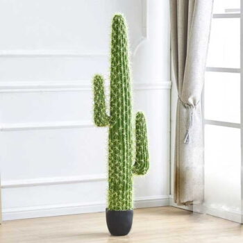 Cây Xương Rồng Giả 2 Tay – Trang Trí Cửa Hàng, Studio, Tiệm Quán, Văn Phòng, Nhà Cửa – Cao 1m45 – Mã: PN-CG111