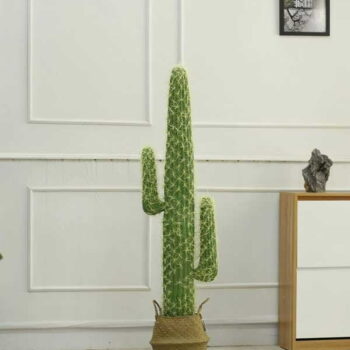 Cây Xương Rồng Giả 2 Tay – Trang Trí Cửa Hàng, Studio, Tiệm Quán, Văn Phòng, Nhà Cửa – Cao 1m45 – Mã: PN-CG111