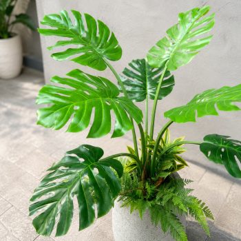 Chậu cây trầu bà giả Monstera 1m4, trang trí không gian nội thất
