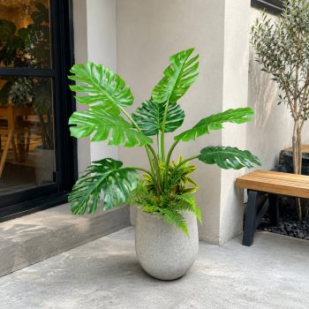 Chậu cây trầu bà giả Monstera 1m4, trang trí không gian nội thất