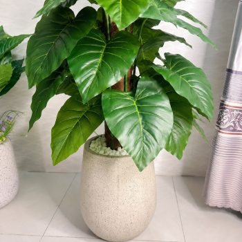 Cây trầu bà giả leo cột cao 1m7 trang trí nội thất, trồng chậu đá mài xám