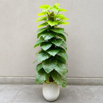 Cây trầu bà giả leo cột cao 1m7 trang trí nội thất, trồng chậu đá mài xám